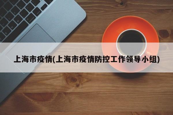 上海市疫情(上海市疫情防控工作领导小组)