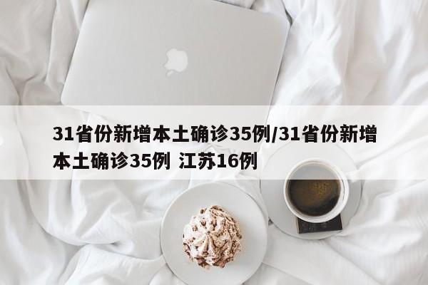 31省份新增本土确诊35例/31省份新增本土确诊35例 江苏16例